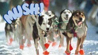 Sled dogs racing with text "Mush!"