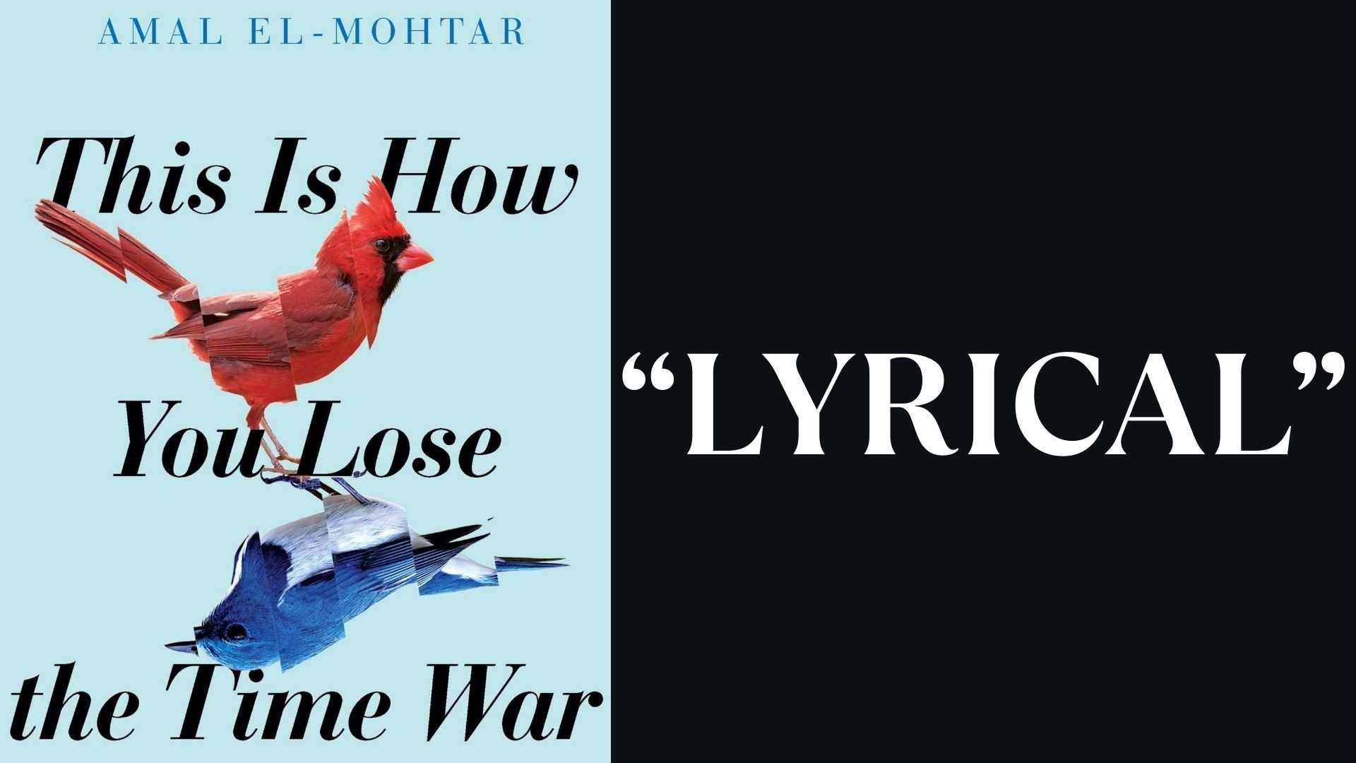 This is How You Lose the Time War by Amal El-Mohtar - "Lyrical"