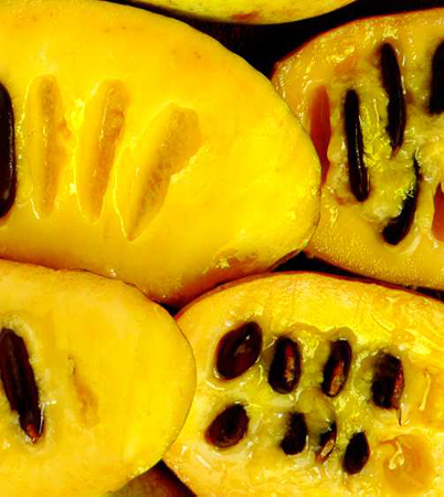 two pawpaws split open to show seeds and fruit