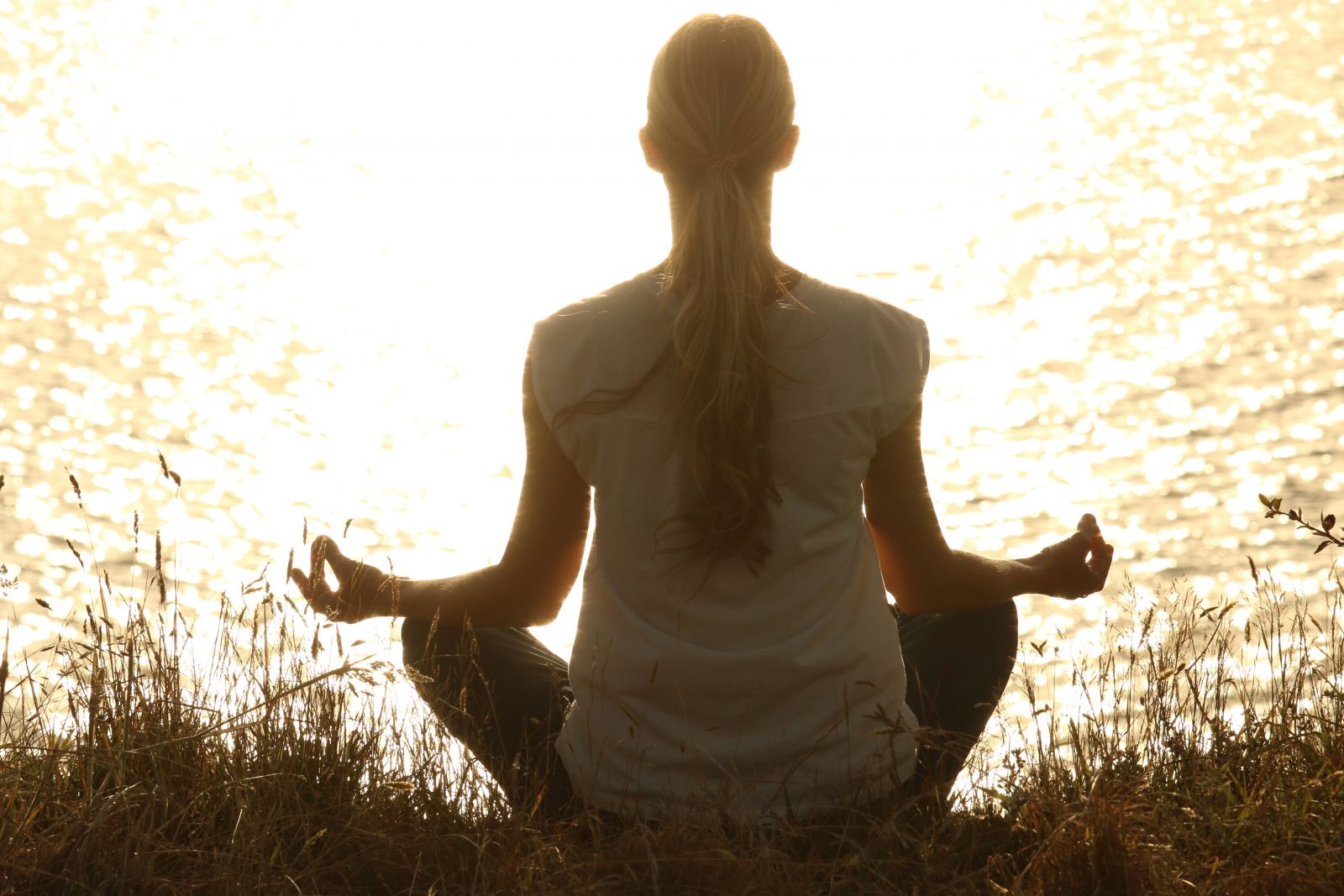 Meditate and Relax