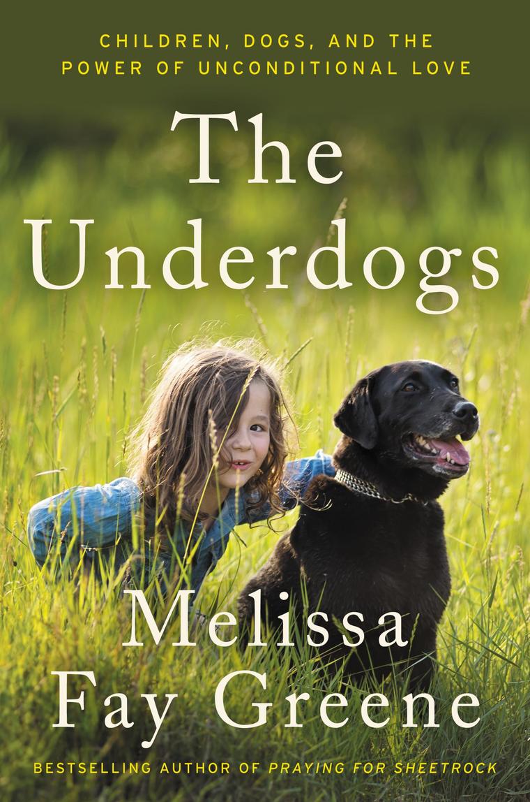 Cover of the underdog