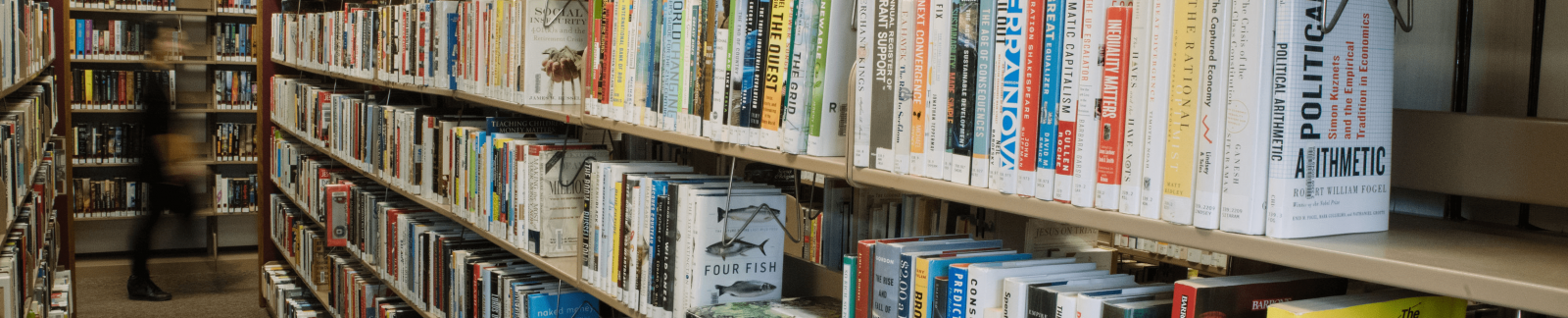 Bookshelves in Wright Library