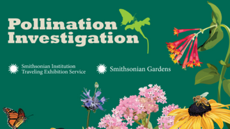 text: pollination investigation graphics: simthsonian logos, flowers and insects