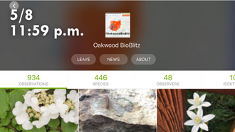 oakwood bioblitz project screenshot with date and time stamp