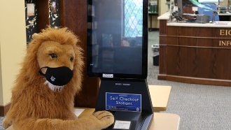 stuffed lion in a mask using self checkout