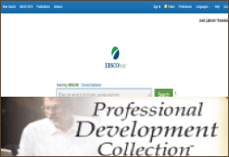 Professional Development Collection