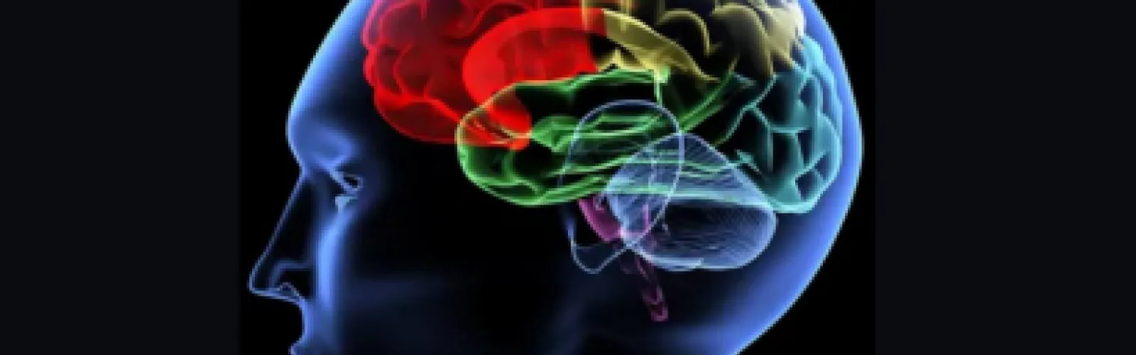 Brain image with colorful parts.