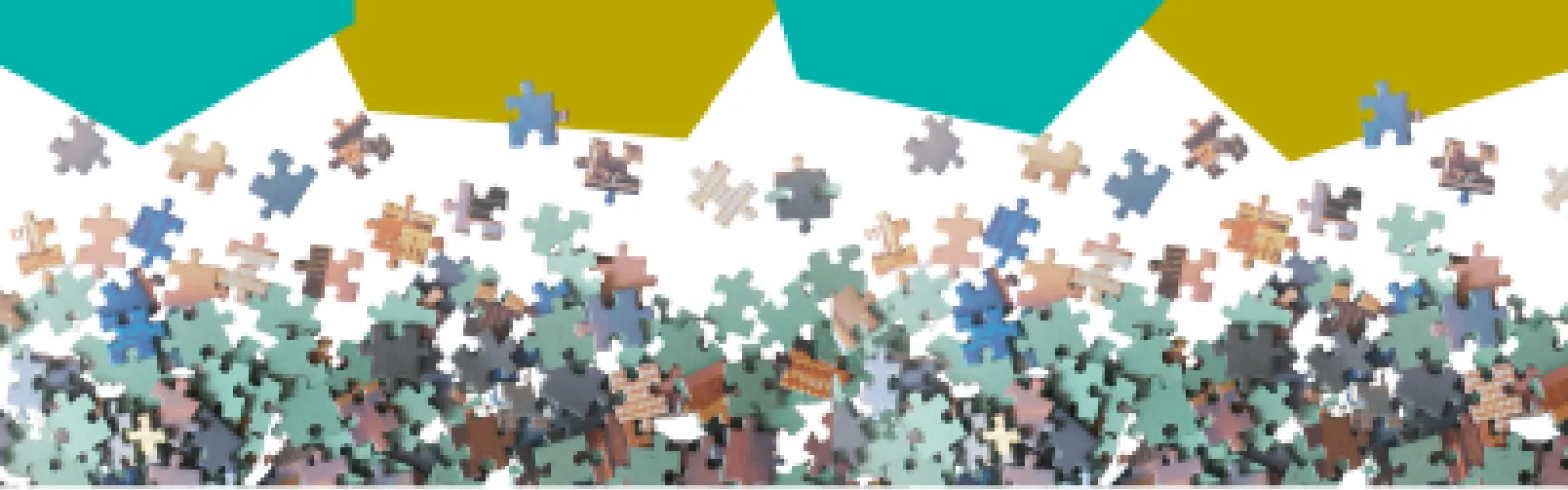 Jigsaw Puzzle Pieces for the Wright Library Puzzle Exchange